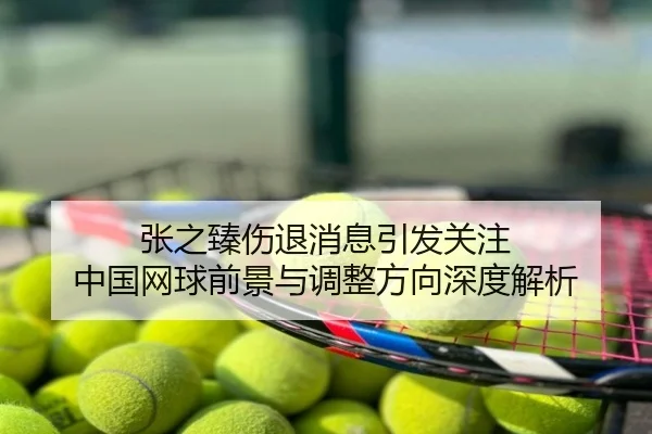 张之臻伤退消息引发关注 中国网球前景与调整方向深度解析