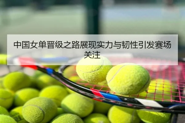 中国女单晋级之路展现实力与韧性引发赛场关注