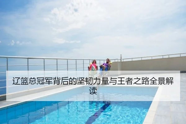 辽篮总冠军背后的坚韧力量与王者之路全景解读