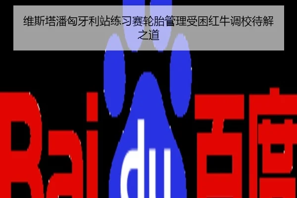维斯塔潘匈牙利站练习赛轮胎管理受困红牛调校待解之道