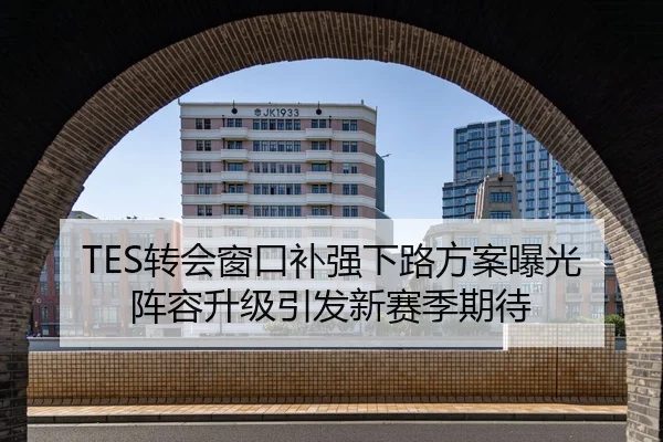 TES转会窗口补强下路方案曝光阵容升级引发新赛季期待